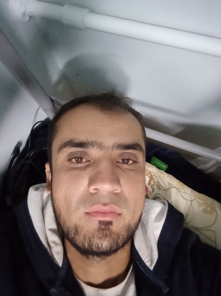  24093672  , 33 ,    
