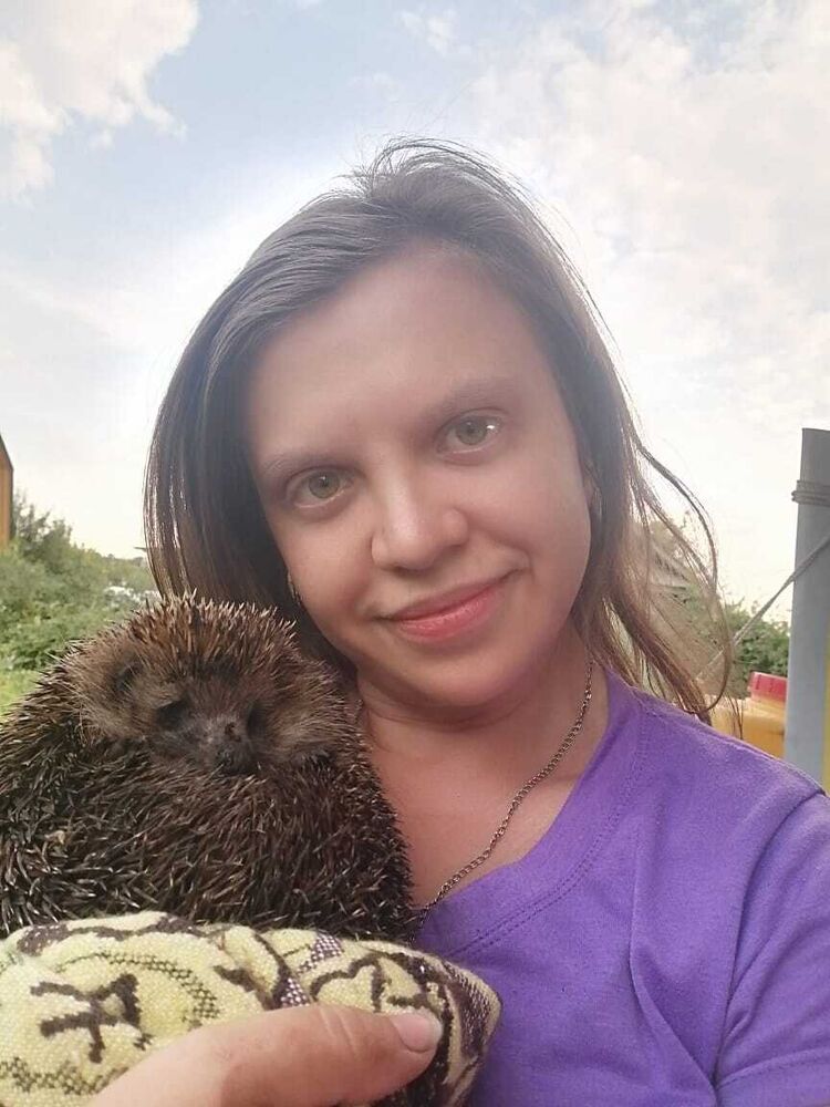  ,   , 29 ,   c 