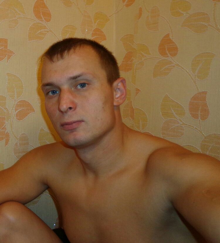  6532562  , 41 ,    