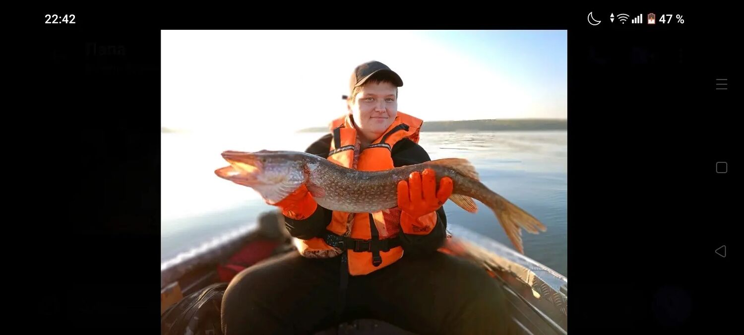 ���� 55696472 ������� ������, 27 ���, ���� ���������� � �����