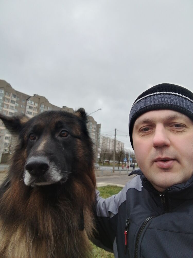 ���� 51330752 ������� ���������, 36 ���, ���� ���������� � ������