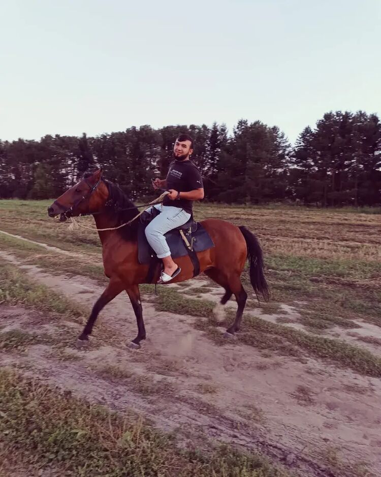 ���������� ������, ���� ����� ��������, 23 ����, ������������ ��� ������, ����� � ���������