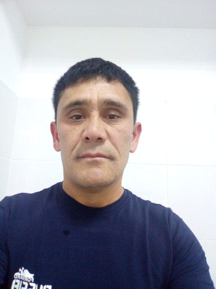  17315952  , 46 ,    