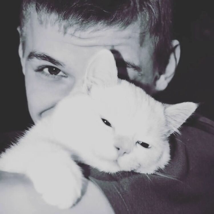  ,   , 38 ,   ,   