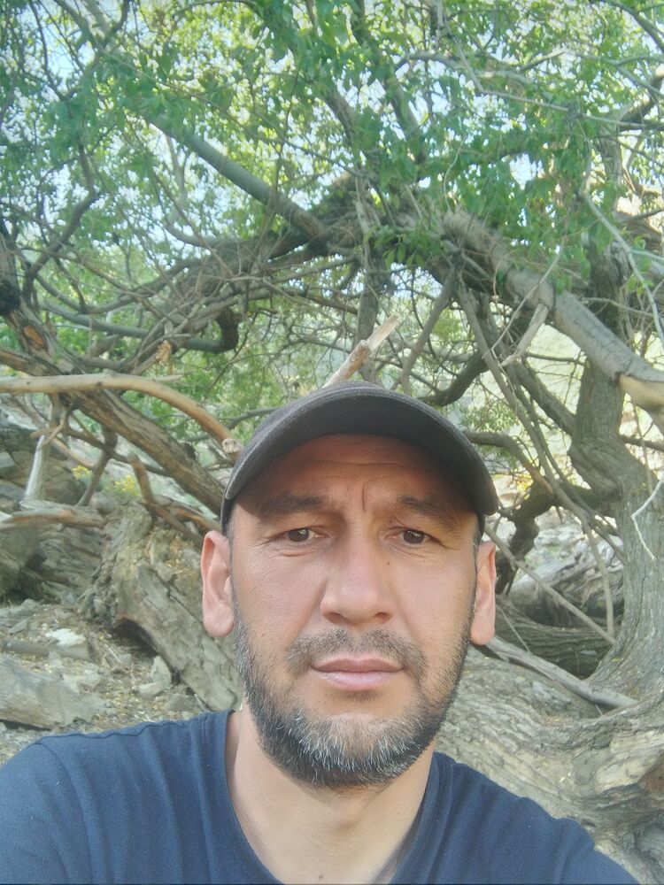 ���� 29235192 ������� ����, 44 ����, ���� ���������� � ������