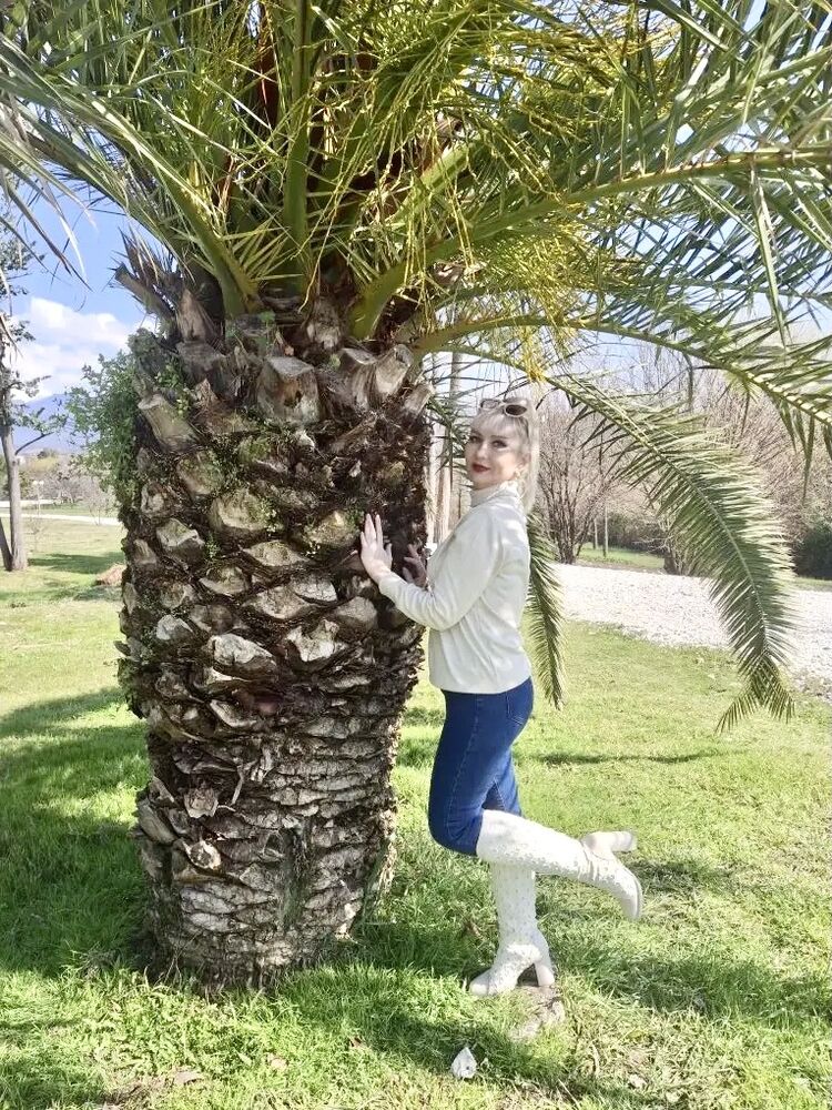 ���� 56207432 ������� ��������, 44 ����, ���� ���������� � ����