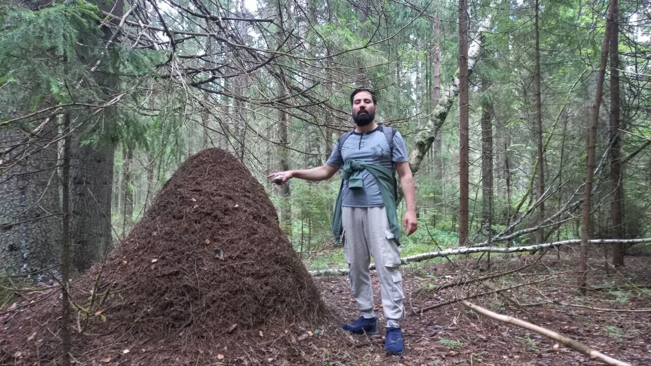 ���� 47158172 ������� Brian, 39 ���, ���� ���������� � �����-����������