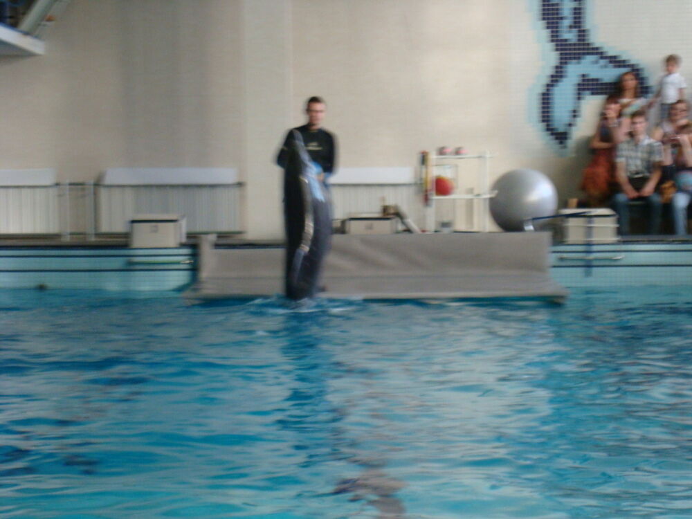 ���������� ������, ���� ������� �����, 47 ���, ������������ ��� ������, ����� � ���������, c�������� ���������