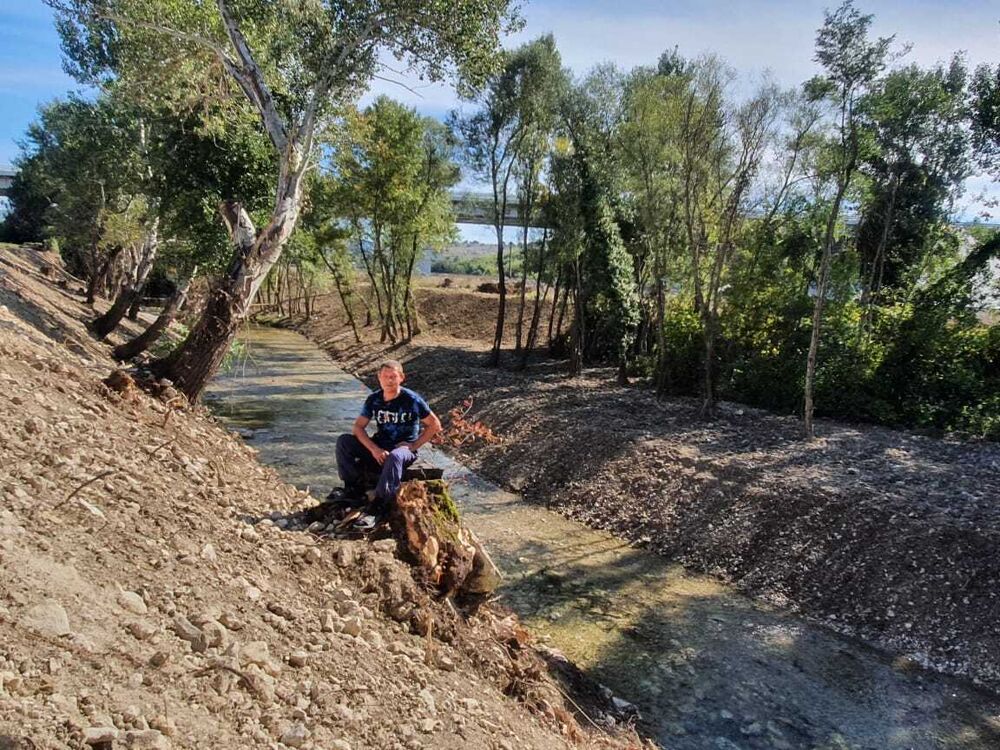 ���� 33835352 ������� �������, 43 ����, ���� ���������� � �����������