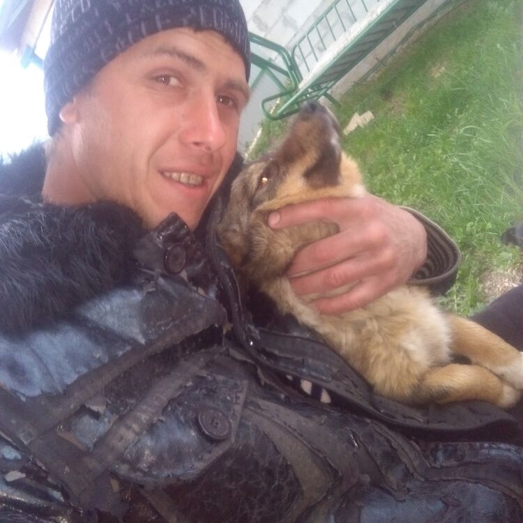 ���� 12610342 ������� ����, 33 ����, ���� ���������� � ��������