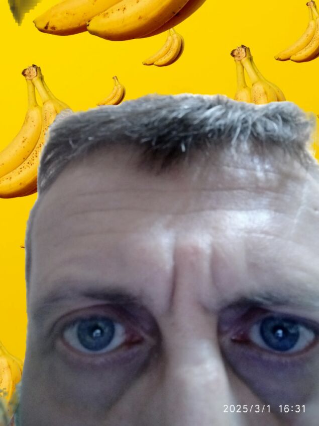  ,   Igor Koval, 44 ,   ,   
