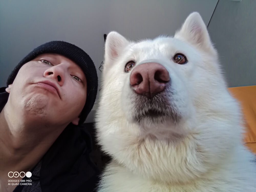 ���� 55019052 ������� ������, 37 ���, ���� ���������� � ����������