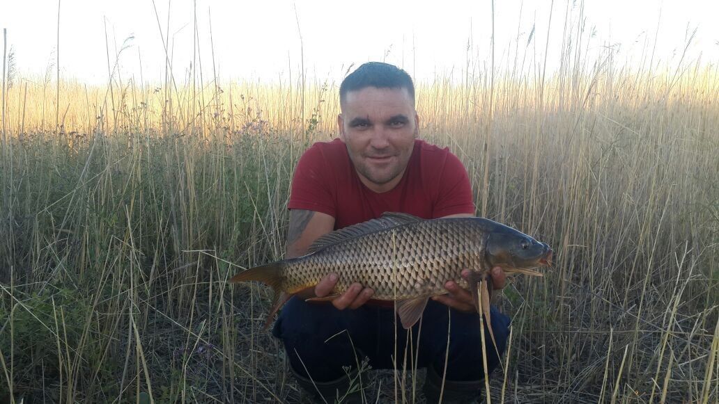 ���� 9836002 ������� Vagib, 46 ���, ���� ���������� � ������