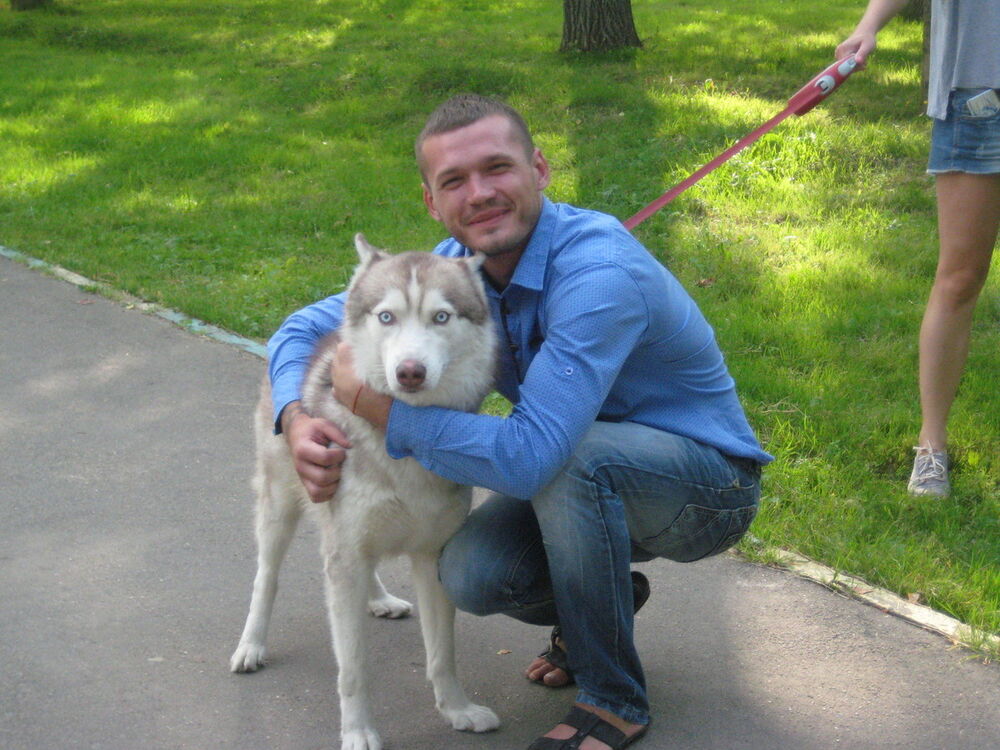 ���������� �����, ���� ������� �������, 33 ����, ������������ 