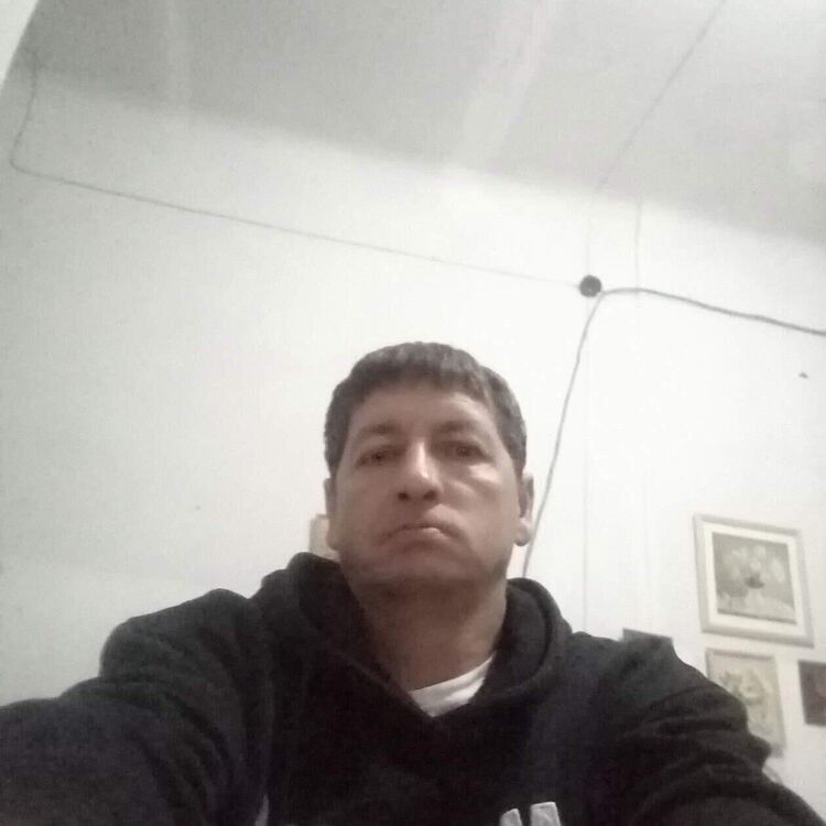  33488442  , 49 ,    