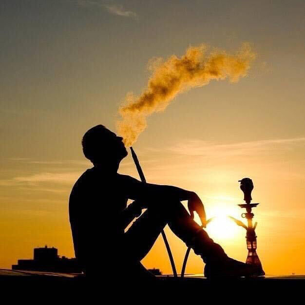 ���� 31946012 ����� ����, 23 ����, ���� ���������� � �����