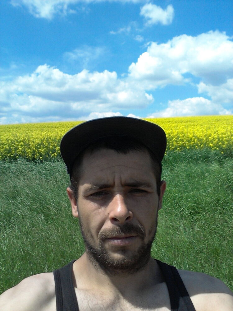  9532502  , 33 ,    