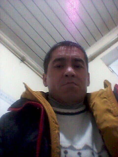  ,   , 51 ,   ,   