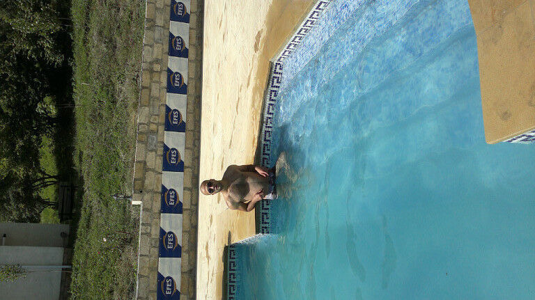  4556152  Ramin, 37 ,    