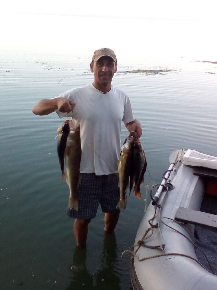 ���������� ����, ���� ������� �����, 53 ����, ������������ ��� ������, ����� � ���������, c�������� ���������