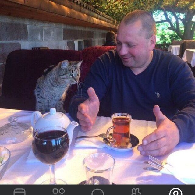  -,   , 54 ,     