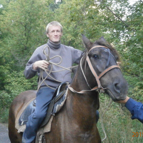 ���� 15178272 ������� ���������, 38 ���, ���� ���������� � ��������