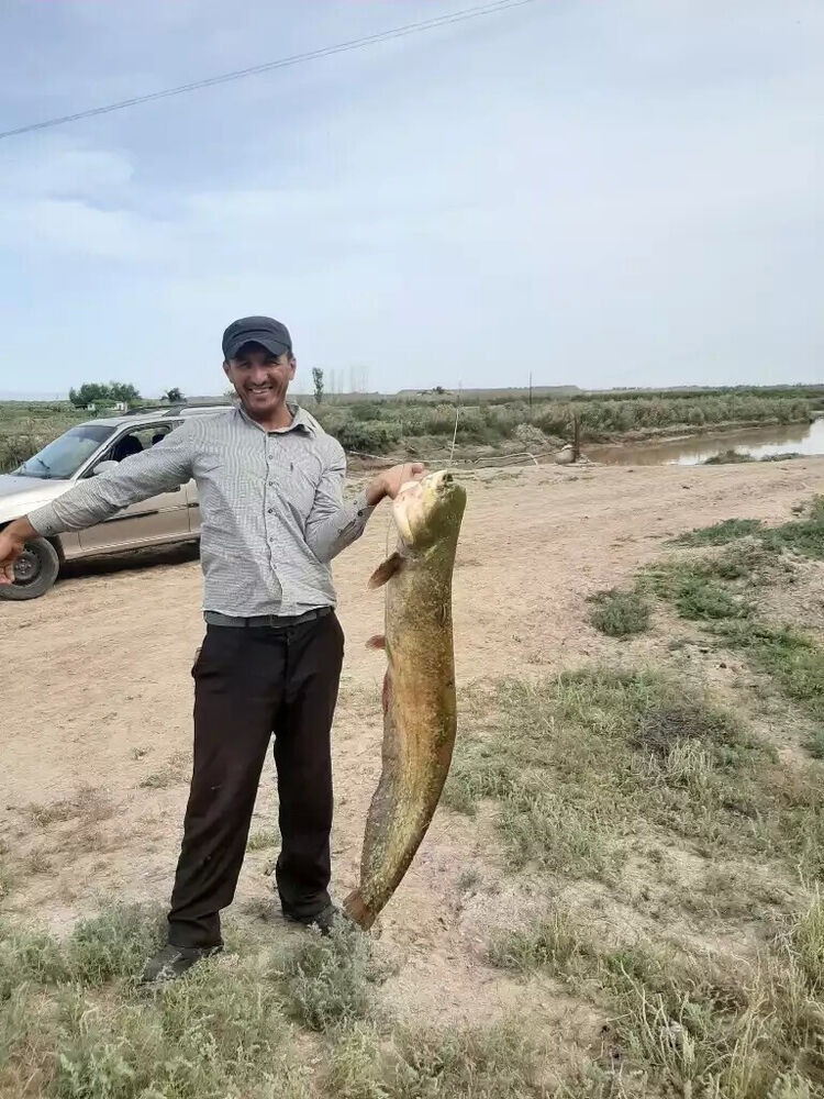 ���������� �����-���������, ���� ������� �����, 37 ���, ������������ ��� ������, ����� � ���������