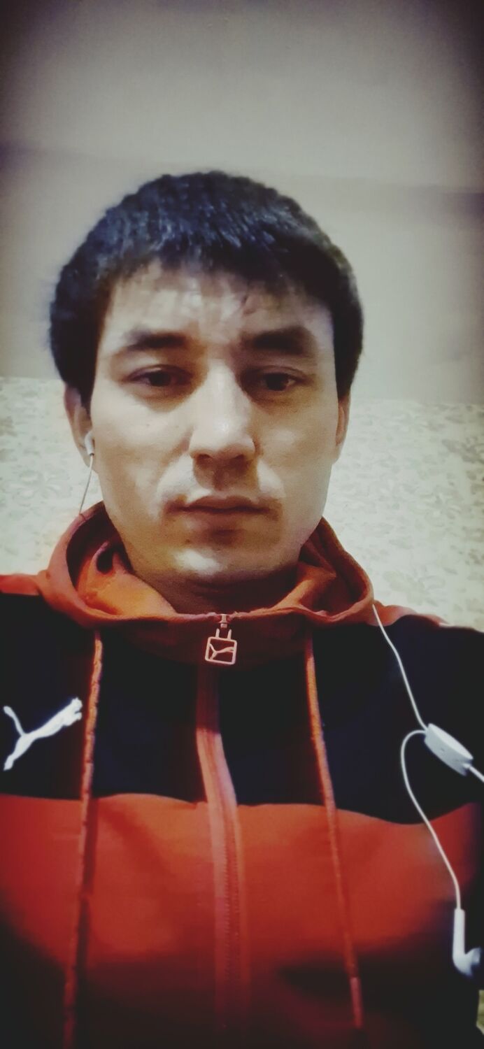  51185812  , 31 ,     