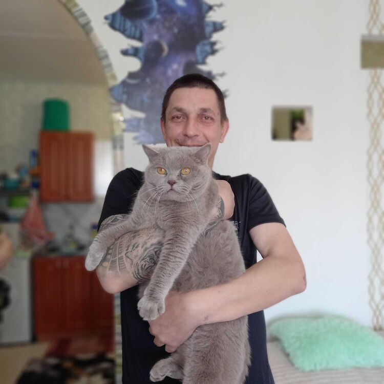 ���� 34349812 ������� ���������, 42 ����, ���� ���������� � �������������