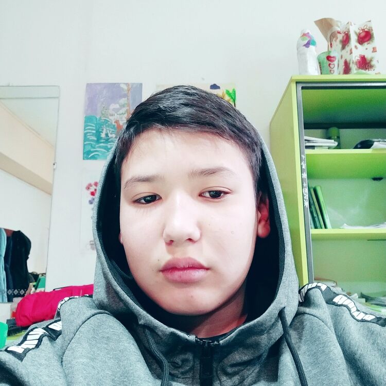  18658292  Umi, 60 ,    