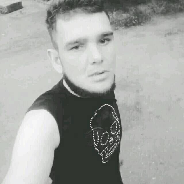  40203582  , 29 ,    