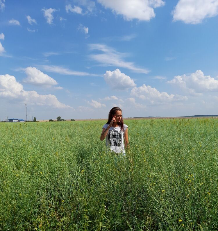 ���������� ������, ���� ������� �����, 34 ����, ������������ ��� ���������