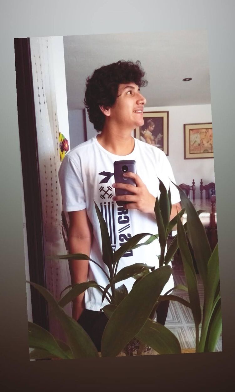 ���������� �� ��������, ���� ����� Alfonso, 25 ���, ������������ ��� ������, ����� � ���������