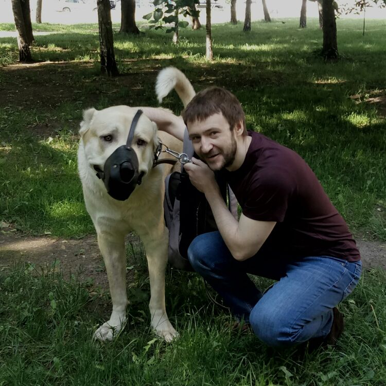 ���������� �����, ���� ������� �������, 41 ���, ������������ ��� ������, ����� � ���������