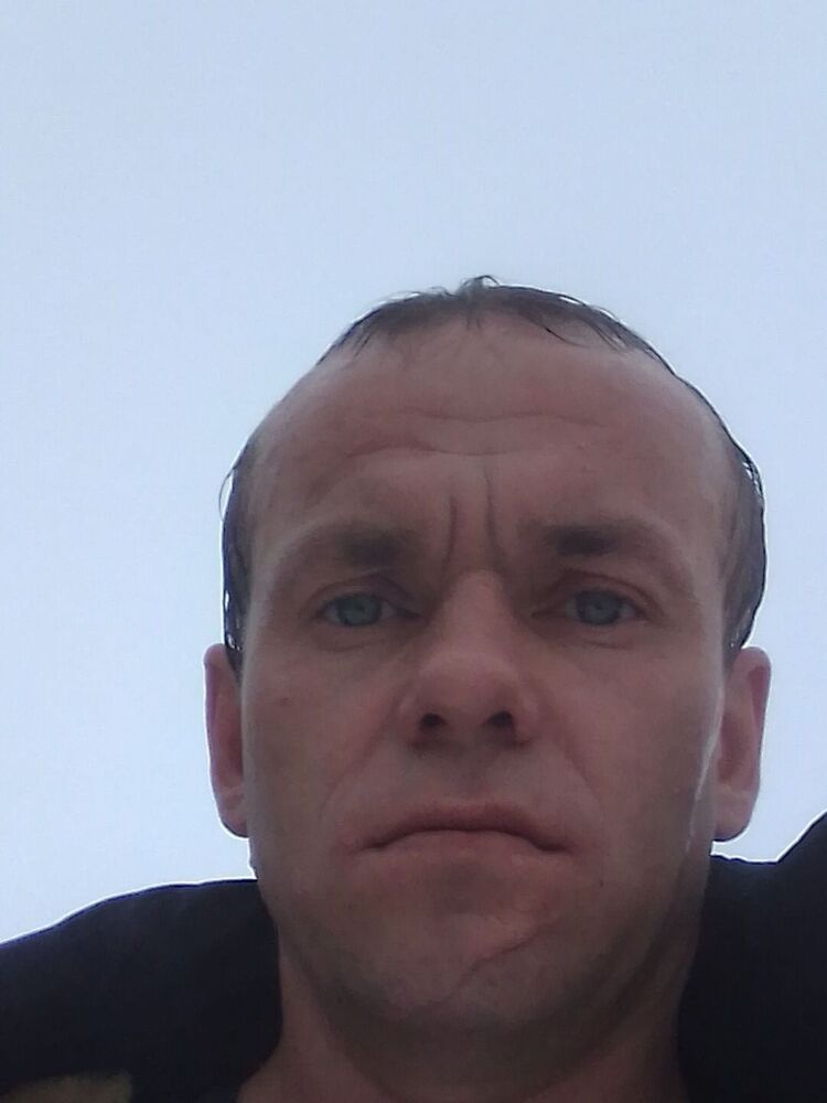  48986702  , 38 ,    