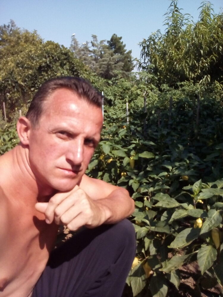 ���� 7850022 ������� �������, 43 ����, ���� ���������� � �����������