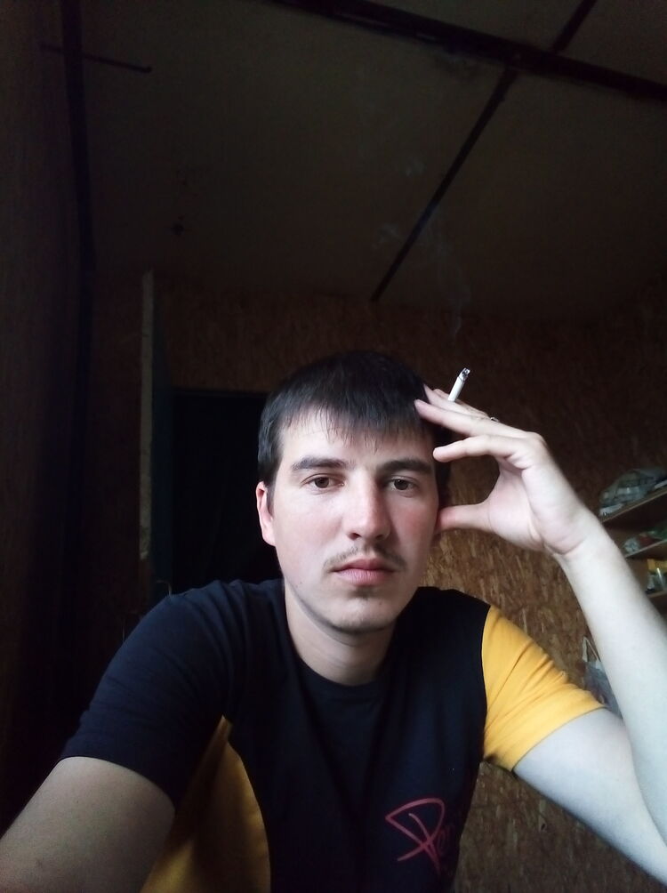  23762452  , 31 ,    