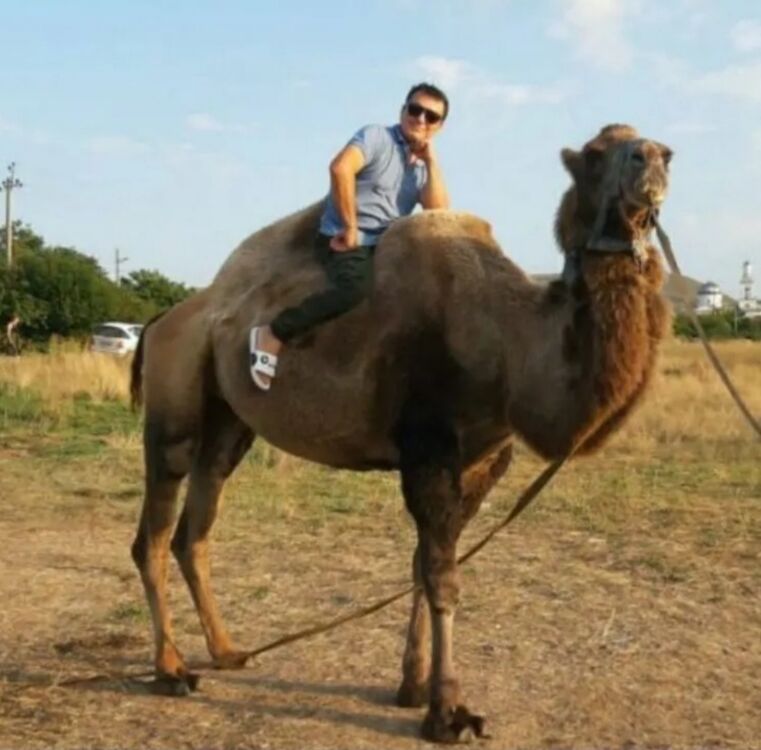 ���������� ���������, ���� ������� �����, 56 ���, ������������ ��� ������, ����� � ���������, ���������