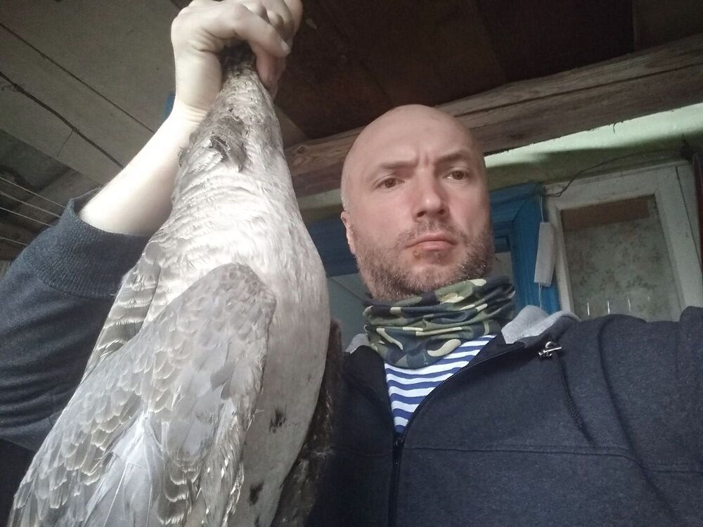  ,   , 45 ,   ,   