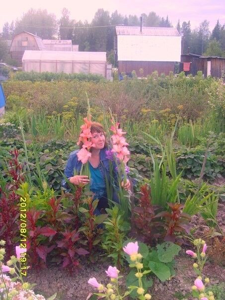 ���������� ���������, ���� ������� �����, 52 ����, ������������ ��� ������, ����� � ���������, c�������� ���������