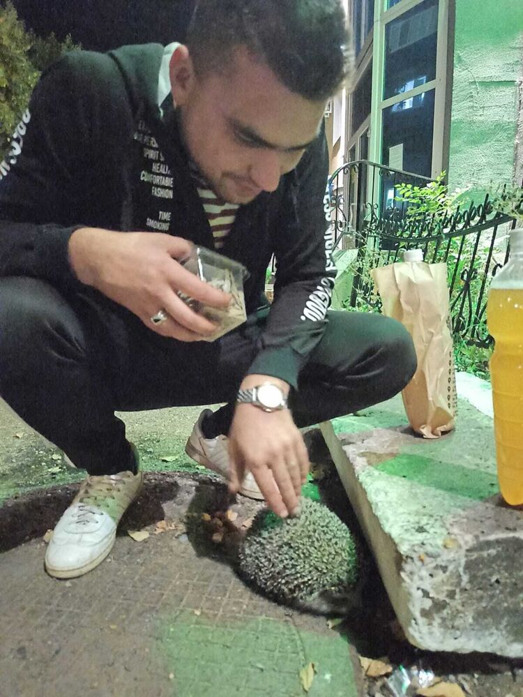  ,   , 29 ,   ,   , 