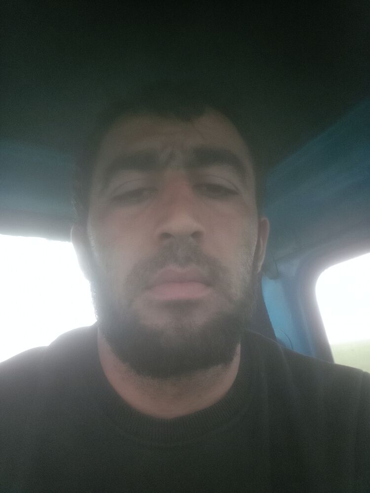  28103572  , 29 ,    