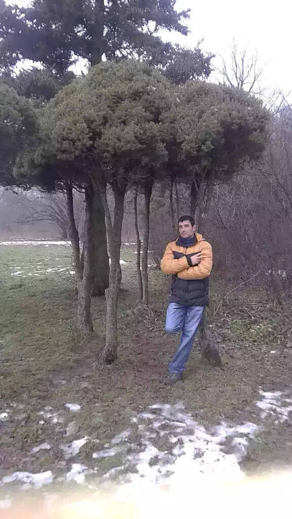 ���������� ������, ���� ������� � ��, 38 ���, ������������ 