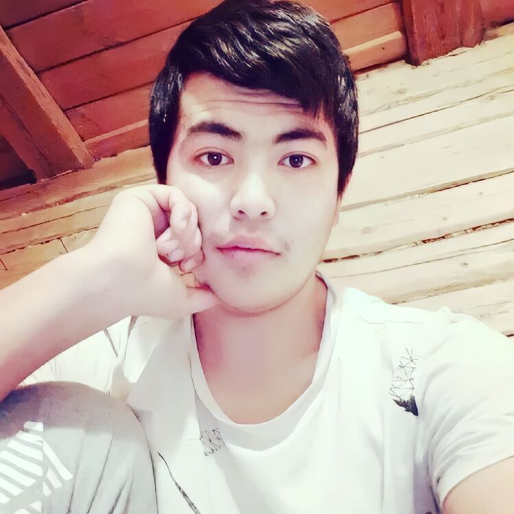  29913022  , 27 ,    