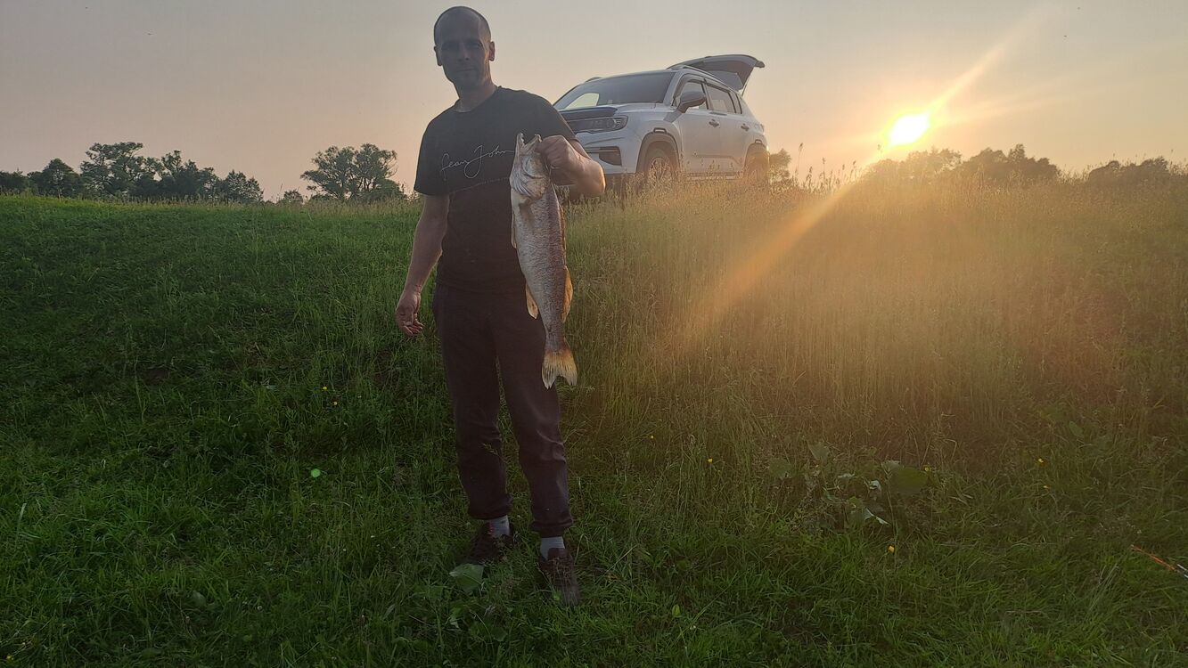 ���� 55500782 ������� �����, 42 ����, ���� ���������� � �����-����������