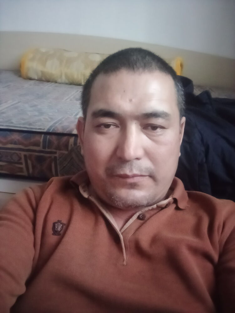  24550662  , 49 ,    