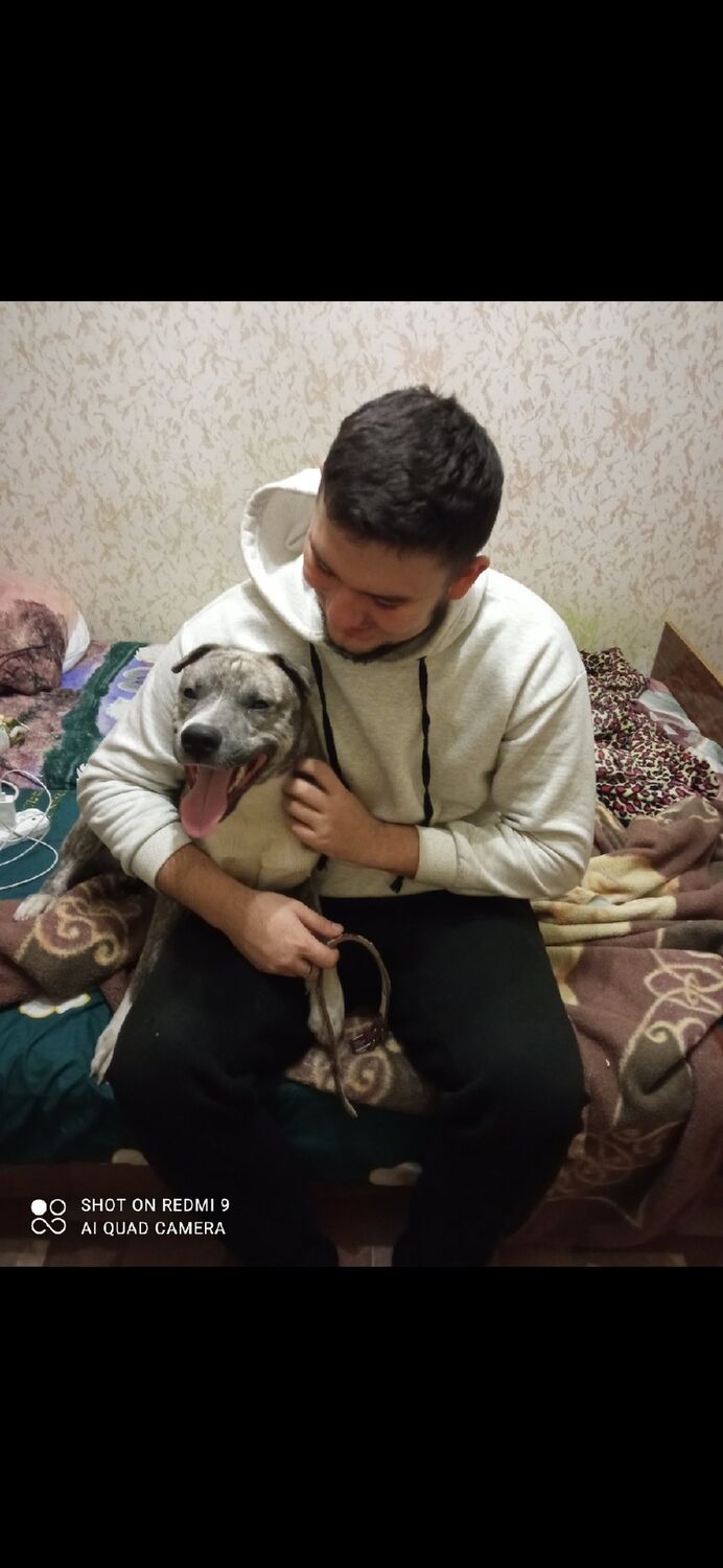 ���������� �����-���������, ���� ����� �����, 22 ����, ������������ ��� ������, ����� � ���������, c�������� ���������