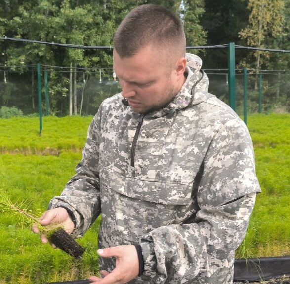 ���������� ����������, ���� ������� ���������, 36 ���, ������������ ��� ������, ����� � ���������, c�������� ���������