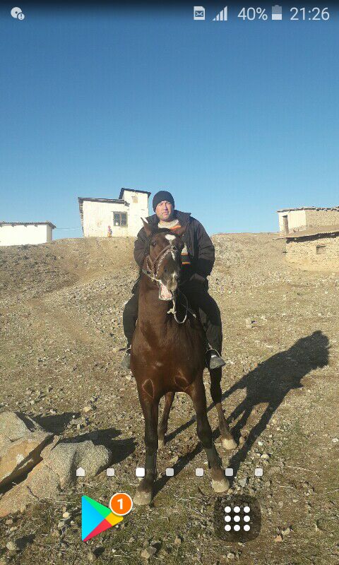  38544762  Husain, 44 ,    