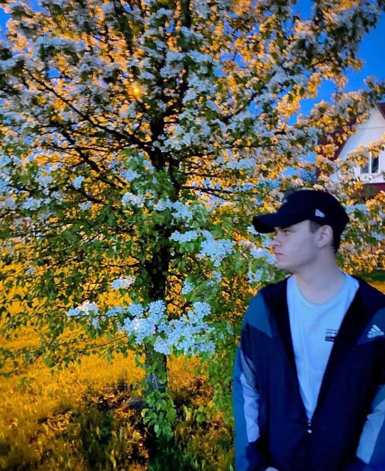  50628592  , 21 ,    -